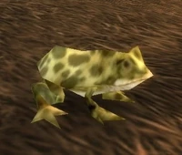 Image of Giant Marsh Frog