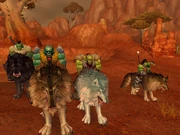 A troop of orcs on their wolves.