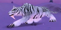 Image of Frostsaber Stalker