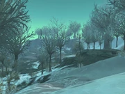 The spooky forests of the Dragonblight