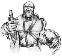 Image of Force Commander Danath Trollbane