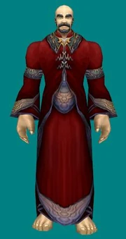 Flowing Ritual Robes