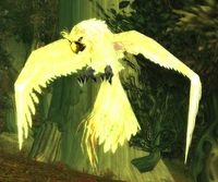 Image of Olm the Wise