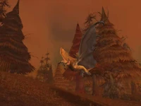Image of Duskwing