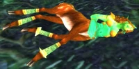 Image of Anilia