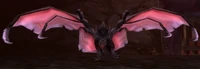 Image of Dark Screecher