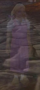 Image of Melia
