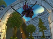 Onyxia's Head Mounted in Stormwind