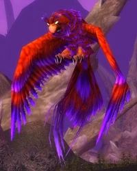 Image of Lashh'an Kaliri