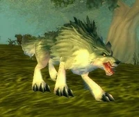 Image of Timber Wolf