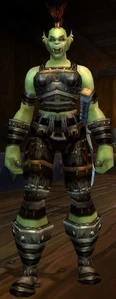 Image of Chief Officer Ograh