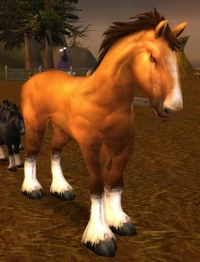 Image of Havenshire Stallion