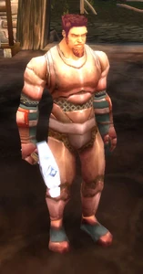 Image of Moonrage Armorer