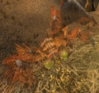 Image of Darkfang Lurker
