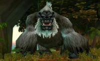 Image of King Mukla
