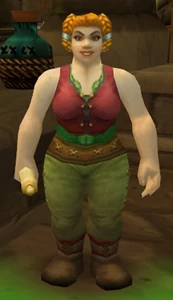 Image of Vidra Hearthstove
