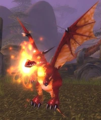 Image of Lost Whelp