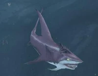 Image of Tu'u'gwar