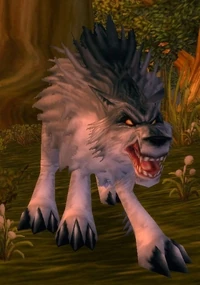 Image of Gray Forest Wolf