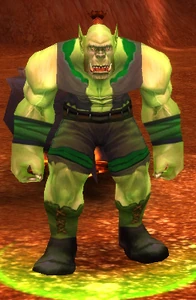 Image of Cook Torka