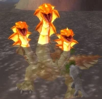 Image of Great Wavethrasher
