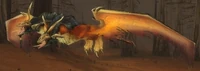 Image of Fledgling Chimaera