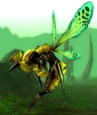 Image of Gorishi Wasp