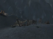 Ravaged Twilight Camp