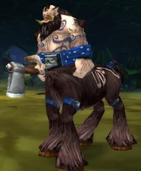 Image of Veng