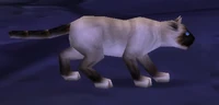 Image of Mr. Bigglesworth