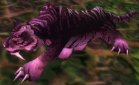 Image of Young Nightsaber