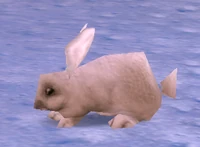 Image of Arctic Hare