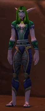 Image of Darnassus Commendation Officer