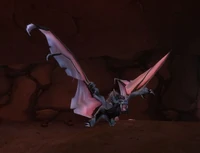 Image of Greater Kraul Bat