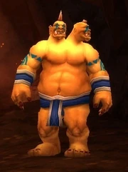 Kor'gresh Coldrage, chief of Boulderfist Hall