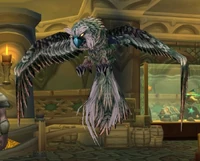 Image of Hootie
