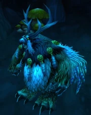 Moonkin Oracle