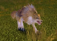 Image of Prairie Wolf Alpha