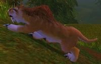 Image of Hulking Mountain Lion