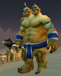 Image of Dunemaul Warlock