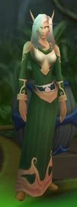 Image of Advisor Valwyn