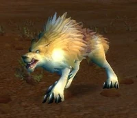 Image of Crag Coyote