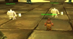 Brann, accompanied by two Earthen Protectors, inside the Halls of Stone