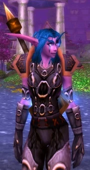 Night Elf in Wicked Leather Set