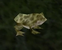 Image of Forest Frog