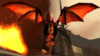 Image of Smolderwing