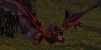 Image of Duskbat