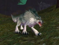 Image of Young Scavenger