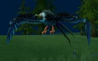 Image of Swoop