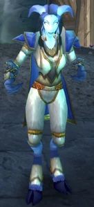 Image of Alliance Adventurer